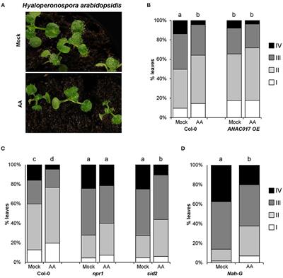 Mitochondrial Stress Induces Plant Resistance Through Chromatin Changes